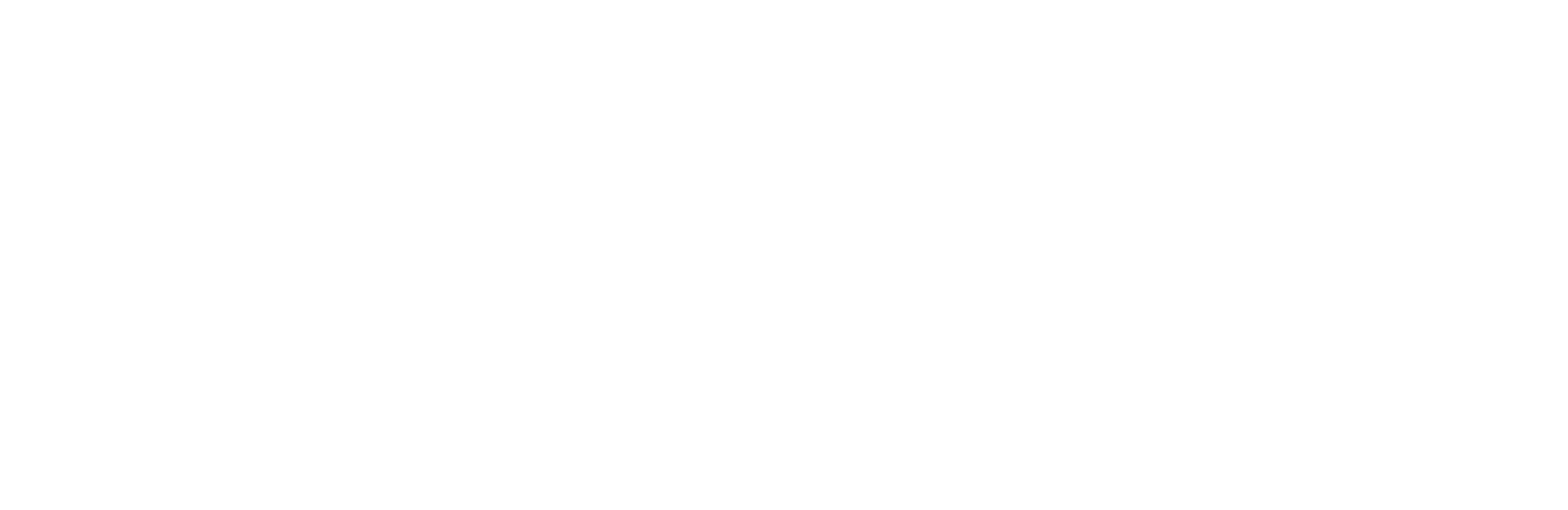 Skyn3t Auditoría