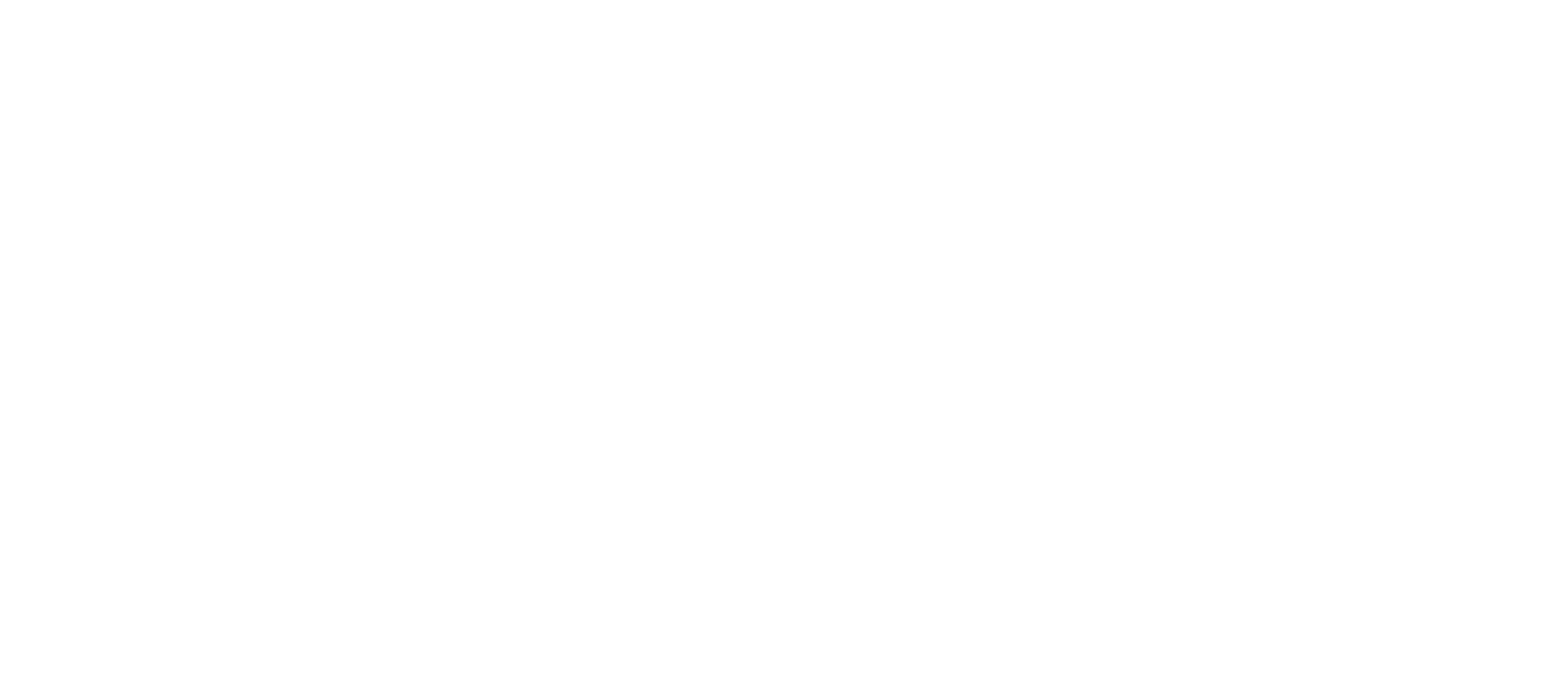 SKYN3T Logo